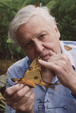 DAVID ATTENBOROUGH - Legendary Natural Historian - 8"x12"